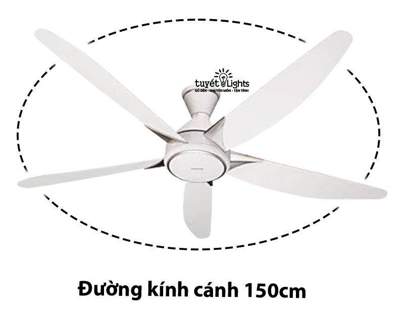 sải cánh 150cm